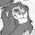 TLK LIONS BUNDLE
