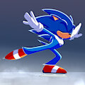 Sonic Skater