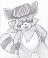 Rambley the Raccoon by Vulnec