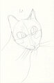 Cat Head 2 by TikTikKobold