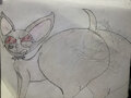 Chihuahua by Dorkie