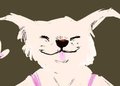 Dog People R Cool by Minako