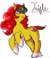 MLP - Trifle