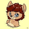 Kris Bust