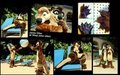 Otter(s) by TheCritterFactory