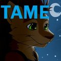 A Cutie in Moonlight (By Bastion) by psychoticporcupine