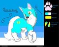 GinNoKaze the Skywolf by GinNoKaze