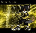 Zetta V. Lee