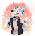 "New Collar" By Kaotikjuju