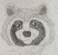 Cutie Raccoon by Wullabi