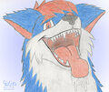 Folf Maw