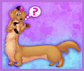 Dachshund Taur