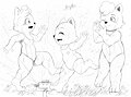 Sprinkler Wombats (by WinickLim)