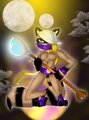 Contest Entry: Martial Artist by RollerCoasterViper59