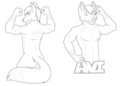 ( Com ) AviFox - Lineart