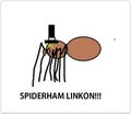 SPIDERHAM LINKON! by wolf22