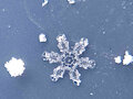Snowflake 1/06 by Spark908