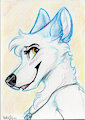 “Cute portrait” By Kaotikjuju