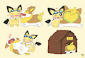 Yamper Day 2025