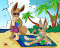 Beach Vees
