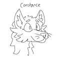 kitty
