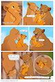 Follow the Routine and Keep Clean (page 3)