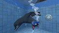 Ravens Dive
