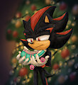 An unexpected Christmas gift