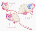 what species is my fursona???