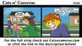 Cats n Cameras Strip #168 - You have no right