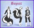 Scynt Ref Sheet by MoodyFerret
