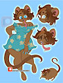 adoptable elephant shrew