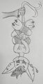 I dun caught myself a chupa-cadupra!