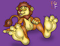 Cadburys Lion