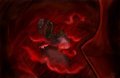 4. Dark by Arohk
