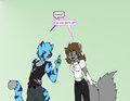 Catnip