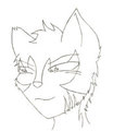 Warrior Cat