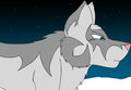 Snow wolf