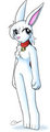 The Bunny by Zaron