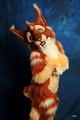 Sabretooth Cat suit by The Critter Factory by TheCritterFactory
