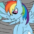 Apple Fight