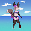 Kufky going for a swim