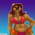 New Bra