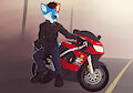 Freedom the yote