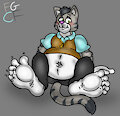 Peters Kitty Feets