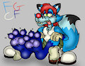 Jimbles Paws