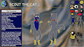 Scout the Cat ref sheet (SFW)
