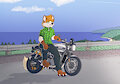 foxymoto