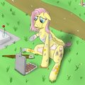 In the cemetery