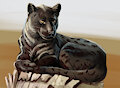 Study from the photo subscriber